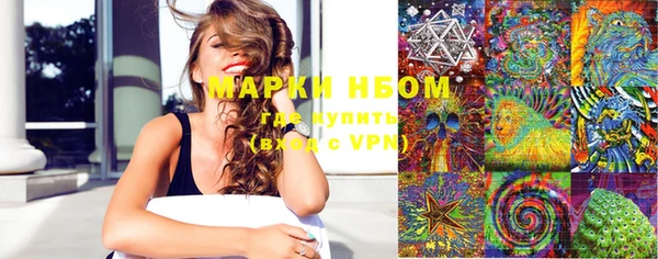 ПСИЛОЦИБИНОВЫЕ ГРИБЫ Алзамай